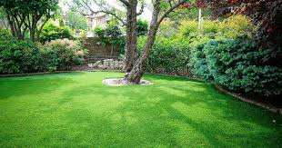 Prato verde tutto l'anno, perché sceglierlo