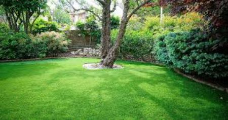 Prato verde tutto l'anno, perché sceglierlo